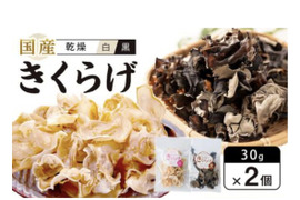 徳島県産！乾燥きくらげ白黒セット