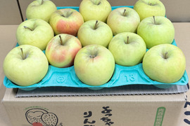 【お手頃・小玉】ぐんま名月　カワイイ小玉💛家庭用約2.7Kg🍏　青森県産　数量限定　程よい大きさ　長持ちしやすい小玉