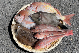 【数量限定】瀬戸内の鮮魚 2kg詰め合わせ！(3〜6種類)80サイズ