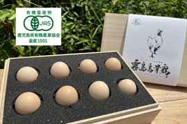 【高級卵】桐箱入！オーガニック烏骨鶏卵「霧島烏骨鶏」8個入（有機JAS・放し飼い卵）【お歳暮・内祝に】