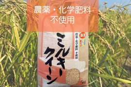 ミルキークイーン玄米5㎏　農薬・化学肥料不使用