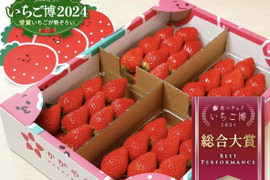 ★日付指定可能 ：【食べチョクいちご博2024博総合大賞】新鮮完熟やよいひめ（約275g×4P）