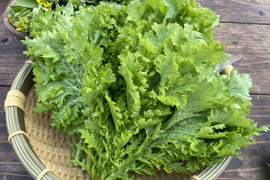 サラダにおすすめ！わさび菜100g×6袋☆有機JAS認証