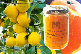 【数量限定】紀ノ国屋×仲屋コラボ商品「寿太郎みかんジャム」& 西浦れもん1.5キロ（防腐剤・ワックス不使用） 詰め合せ 【仲屋 海瀬農園】