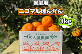【愛媛県産】季節限定　甘味がギュッと詰まったポンカン　家庭用　3ｋｇ