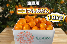 🍊家庭用🍊愛媛県明浜産　温州みかん     10kg