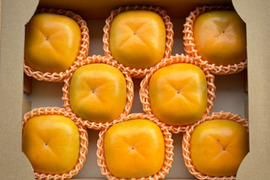 【送料500円引き🍂】数量限定⭐️  特大ひらたねなし柿🟧　4L以上 8玉入り（家庭用）