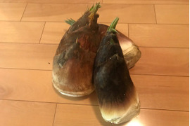 新鮮！朝採り　旬の筍３ｋｇ