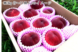 【有機栽培の美味しい桃『日川白鳳』約4kg】自然に優しく希少でジューシーな天然桃(12～15個入)！