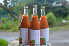 【銀賞受賞｜農薬不使用】濃厚なのにスッキリ にんじんジュース 720ml×1本 定期便用