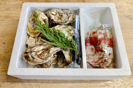 厳選 能登かき　奥原プレミアム　ハズレのない一軍だけ！安心の生食用　殻付+むき身セット　Mサイズ（殻付10～12個 + むき身 500g）ワンランク上の牡蠣をお探しの方に【初回限定BOX】