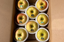 🍏とき🍏果汁がじゅわっと！もぎたて青森特産青りんご🍏贈答用３キロ