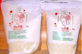 【恋の予感】1㎏×2袋と【こしひかり】1㎏×2袋と【縁結び】300ｇ×1袋の合計5袋で合計4.3㎏でのお試しセット・是非とも新潟で栽培したお米を食べ比べてみてください、