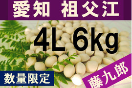 2025年新物！ 愛知県　祖父江産　藤九郎　銀杏　ぎんなん　4L 6kg    ☆秋の味覚☆