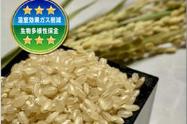 きぬむすめの通販｜お米｜食べチョク｜産地直送(産直)お取り寄せ