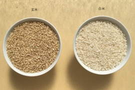 【2023産】　白米・玄米セット　きぬむすめ　(各5.0㎏×2=10.0㎏）