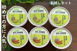 しまね夢メロン(低カリウムメロン)【青肉・赤肉】を使用したアイスクリームお試しセット(6個入り)