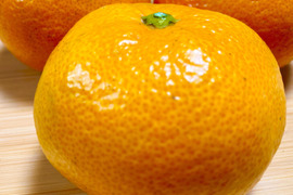 佐賀県産　高糖度登録園みかん！家庭用10ｋｇ