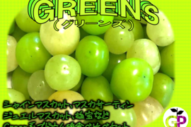 朝採り新鮮！！ブドウの食べ比べ『GREENS　グリーンズ』500g×1P