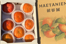 贈答用　富有柿　3㎏　（8〜12個入り）