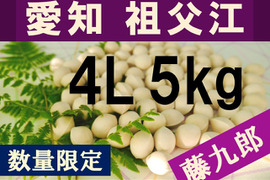 2026年新物！ 愛知県　祖父江産　藤九郎　銀杏　ぎんなん　4L 5kg    ☆秋の味覚☆