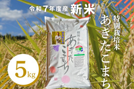 令和7年産新米】特別栽培米「大曲仙北産あきたこまち」10