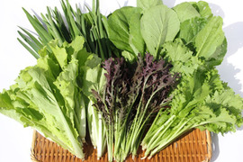 【期間限定】自然栽培の春野菜セット【５～６品目】