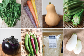 🌾新米入り🌾【月・金曜発送便】ココロ踊る🌈おまかせ野菜セット【さいたま市産】