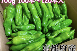 京都府産　特別栽培　ししとう　700g
