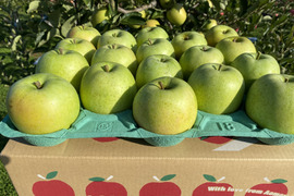 甘い香り！ 🍏青森県産『王林 』家庭用5㎏(13玉～20玉)【予約受付中！】