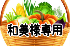 和美様専用‼️おまかせ野菜セット‼️