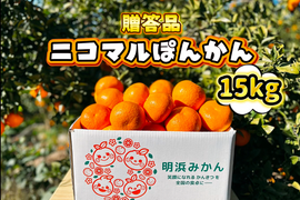 【愛媛県産】季節限定　甘味がギュッと詰まったポンカン　贈答用　15ｋｇ