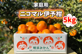 🍊香り推し🍊伊予柑　家庭用 5kg