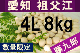 2025年新物！ 愛知県　祖父江産　藤九郎　銀杏　ぎんなん　4L 8kg    ☆秋の味覚☆