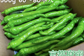 京都府産 特別栽培 伏見とうがらし 500g