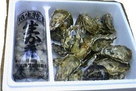 【生食可能】今が旬！牡蠣　殻付き1キロ　剥き身500g×2