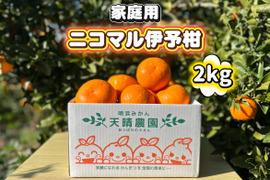 🍊香り推し🍊伊予柑　家庭用 2kg