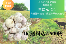 令和7年度　群馬県産　乾燥ニンニク 有機肥料栽培　農薬化学薬品無使用　1kg