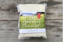 【もち米】農薬・化学肥料不使用『かぐやもち』白米真空パック１kg×３p令和６産