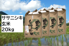 【新米・2026年産】自然栽培米『ササニシキ』玄米20kg