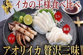 👑頂点を極める三味の真髄👑極上の贅と技が織りなす天然国産『アオリイカ 贅沢三味食べ比べセット』長州床波ブランド一押しの超豪華セット🌊約200g×3種【6月下旬予約】