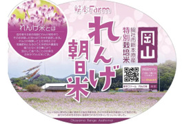 令和7年度新米。岡山朝日蓮華米
【約9kg】特別栽培米。大粒でもっちり
香りもばっちり白米。予約販売中