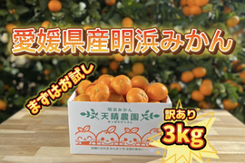 🍊訳あり🍊天晴みかん　３ｋｇ