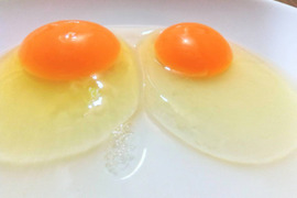 (常温配送)出荷日当日の朝採りお届け致します☆平飼い濃厚卵　岡崎おうはん30個＋割れ保証