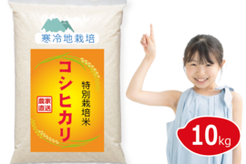 【令和7年 新米予約】特別栽培米 コシヒカリ 10kg 白米 岡山の雪国産