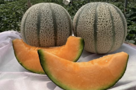 ”笑顔にさせる甘さ”を追求してきた「青春メロン」｜めろん2玉