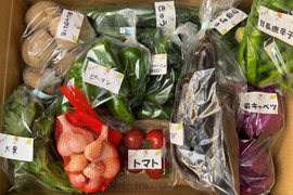 【数量限定☆新物セット🎁】新玉ねぎ🧅＆新にんにく入り🧄甘さいっぱい！お得いっぱい！旬の春野菜詰め合わせ箱☆🥗🥬🥦