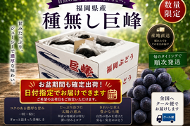 【先行予約受付中】旬の高級ぶどう/種無し巨峰　お盆期間確約御贈答
