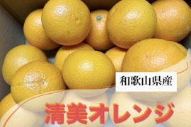 【今が旬】果汁たっぷり和歌山県産清見オレンジ！訳あり4kg