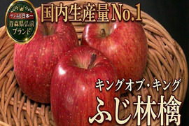 🍎原点にして頂点ふじ林檎🍎世界に誇る生産量圧倒的№1揺るぎない不動の地位を築く圧倒的王者～品種指定キャンペーンお試し特価～【家庭用・贈答用】【4月下旬予約】